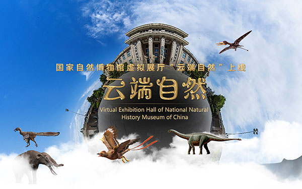 云游博物馆是什么？博物馆云展厅为什么这么火？